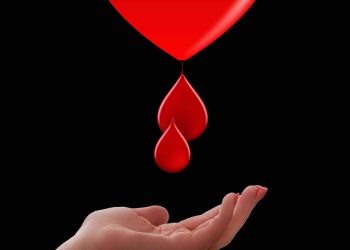 honorowi-dawcy-krwi-w-polsce-coraz-wiecej-benefitow-i-inicjatyw-edukacyjnych