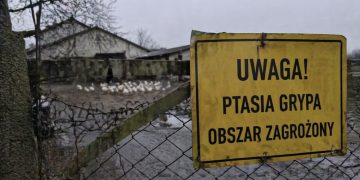 Ostatnia linia obrony przed epidemią Sektor utylizacyjny „pogotowiem sanitarnym” kraju