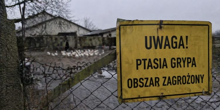 Ostatnia linia obrony przed epidemią Sektor utylizacyjny „pogotowiem sanitarnym” kraju