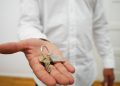 ofert-mieszkan-przybywa-ale-studenci-nie-maja-latwiej-przed-rynkiem-najmu-najgoretszy-okres-roku
